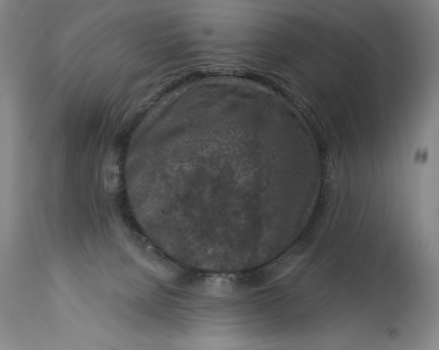 X0000114690080200911121527