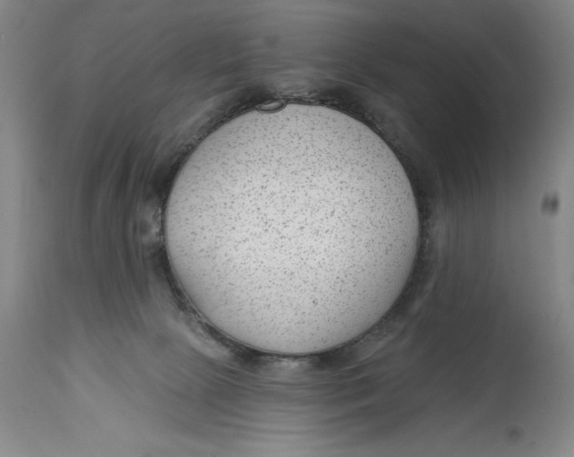 X0000114690081200911121527