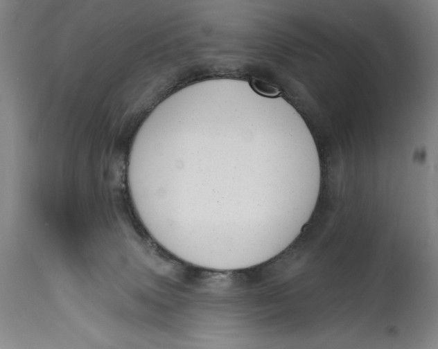 X0000114690083200911121527