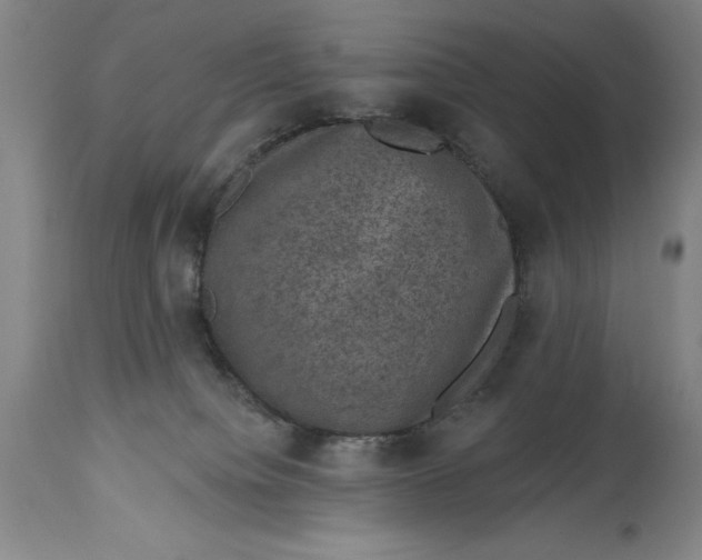 X0000114690084200911121527