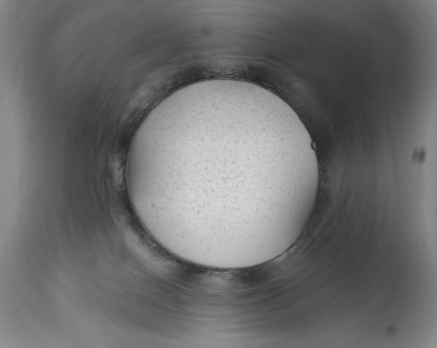 X0000114690086200911121527