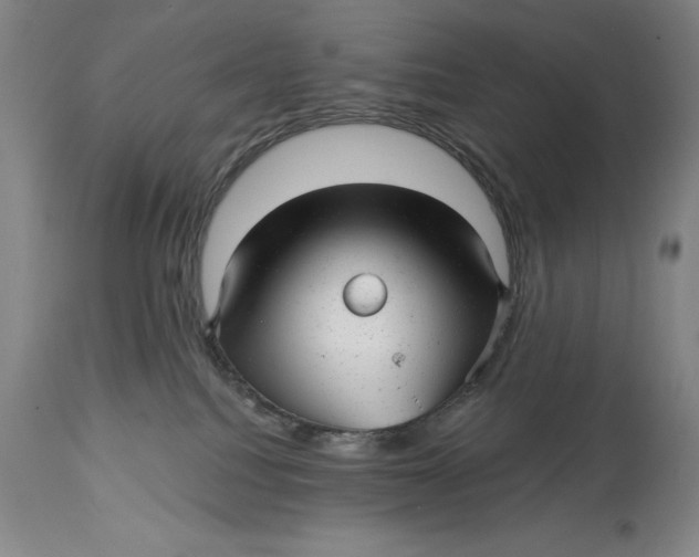 X0000114690088200911121527