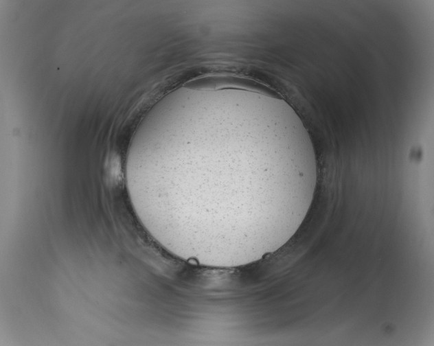 X0000114690089200911121527