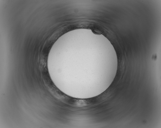 X0000114690091200911121527