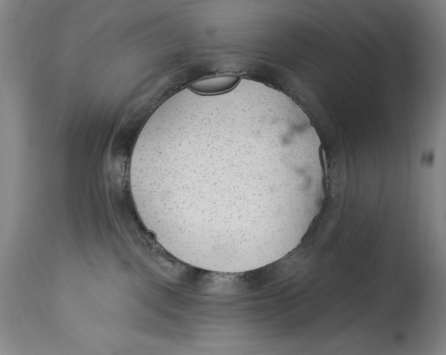 X0000114690093200911121527