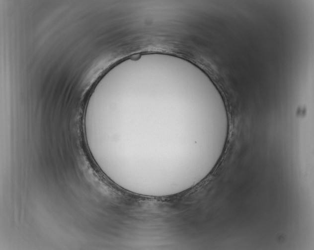 X0000114690098200911121527