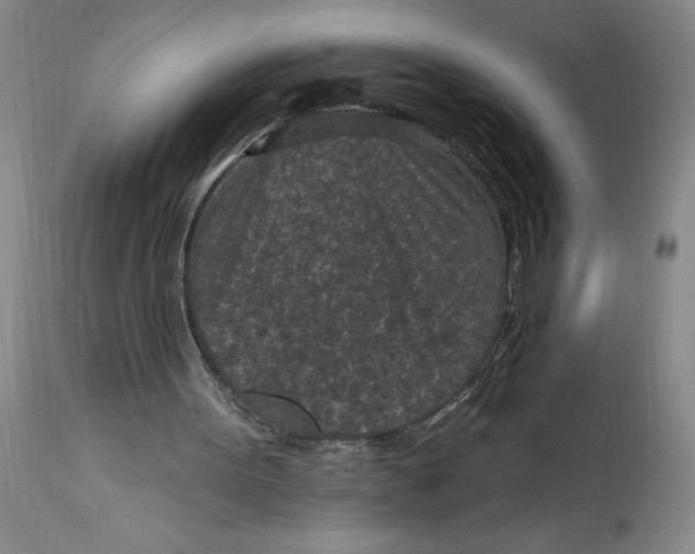 X0000114690099200911121527