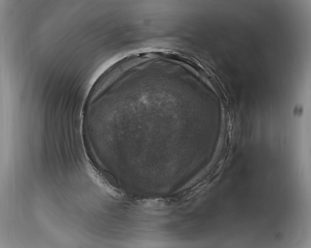 X0000114690100200911121527