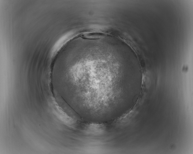 X0000114690101200911121527