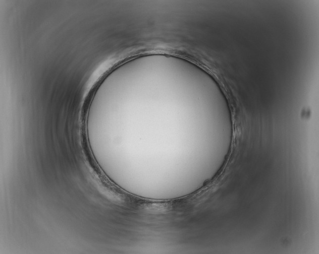 X0000114690102200911121527