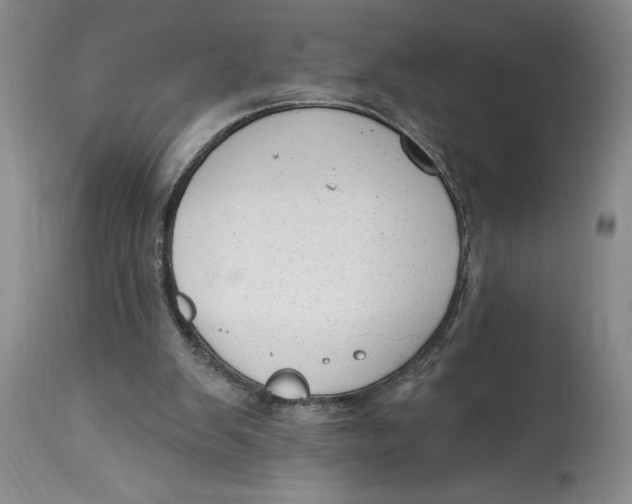 X0000114690103200911121527