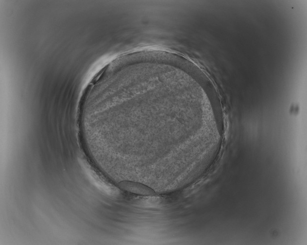 X0000114690104200911121527