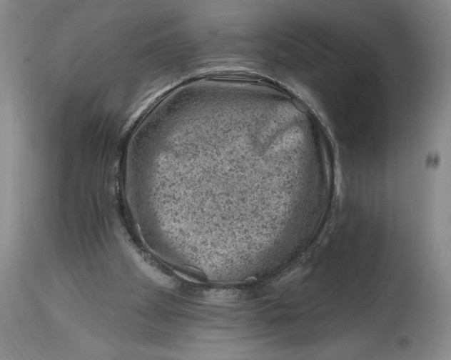 X0000114690105200911121527