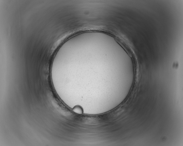 X0000114690107200911121527