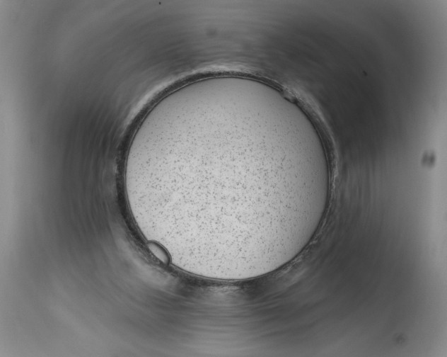 X0000114690108200911121527