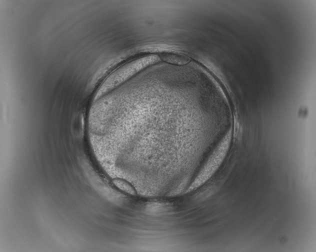 X0000114690109200911121527