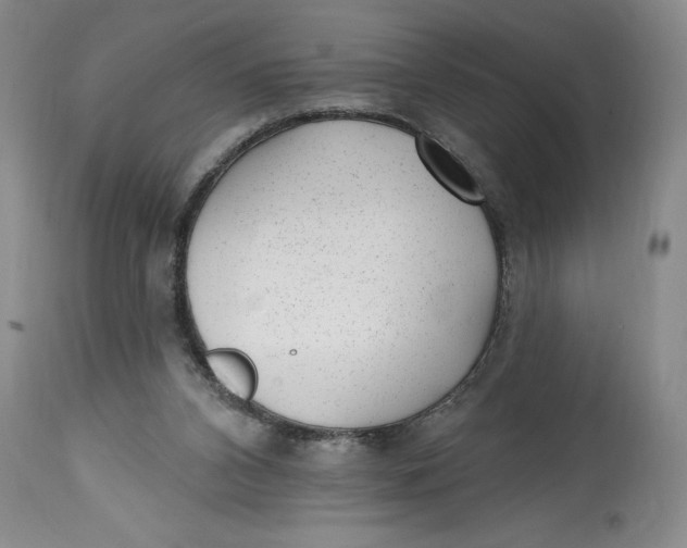 X0000114690112200911121527