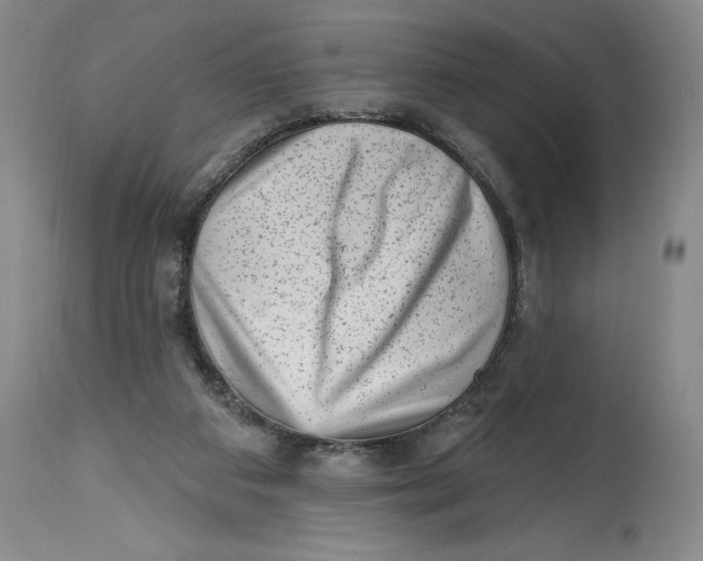 X0000114690113200911121527