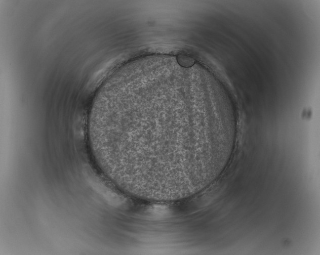 X0000114690114200911121527