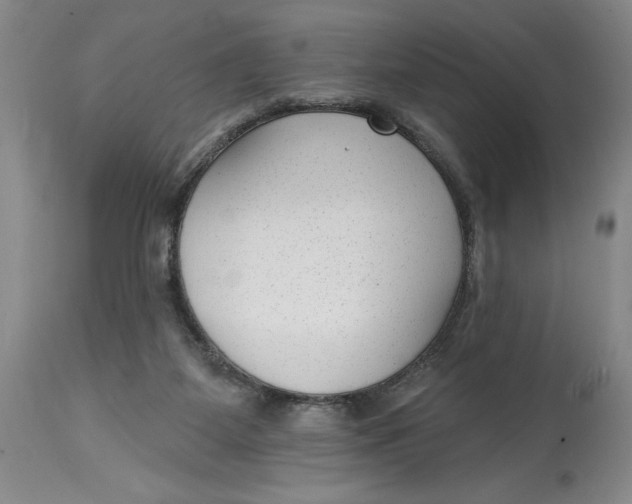 X0000114690115200911121527