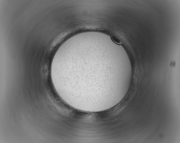 X0000114690116200911121527