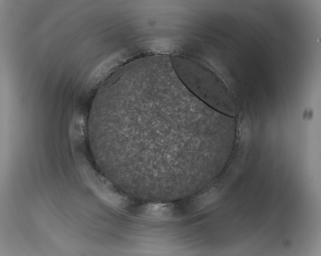 X0000114690117200911121527