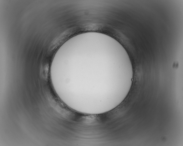 X0000114690118200911121527