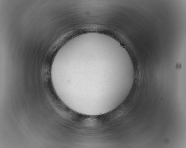 X0000114690119200911121526