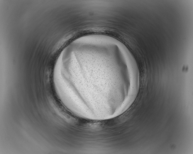 X0000114690120200911121526