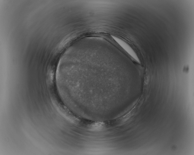 X0000114690124200911121526