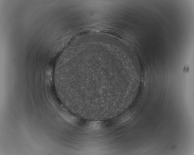 X0000114690127200911121526