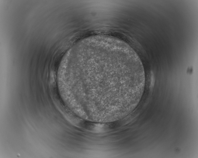 X0000114690130200911121526