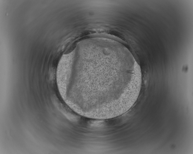 X0000114690132200911121526