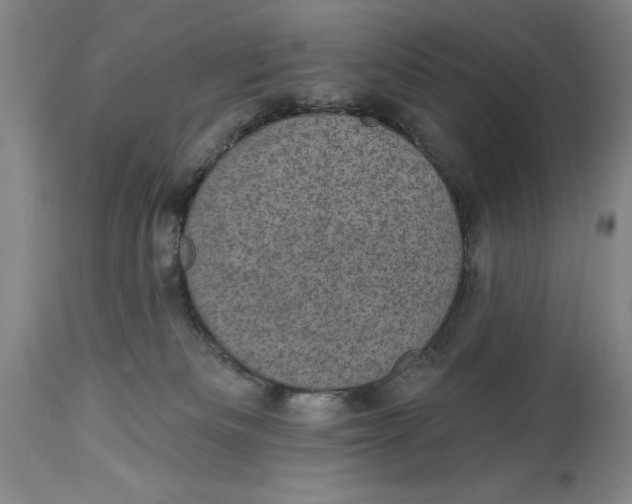 X0000114690133200911121526