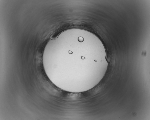 X0000114690135200911121526