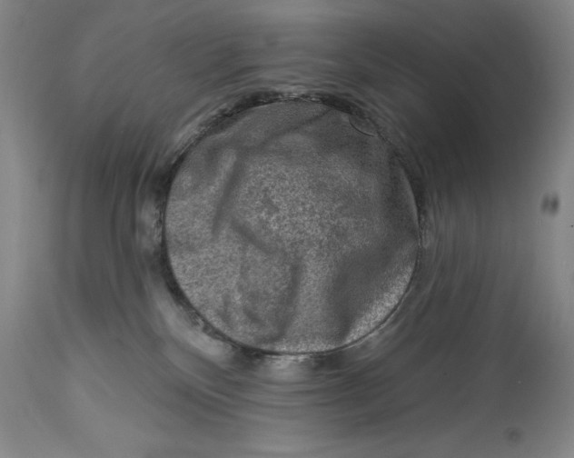 X0000114690136200911121526