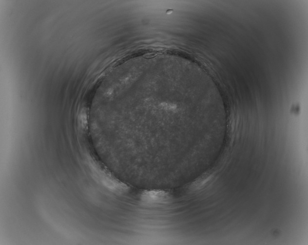 X0000114690137200911121526