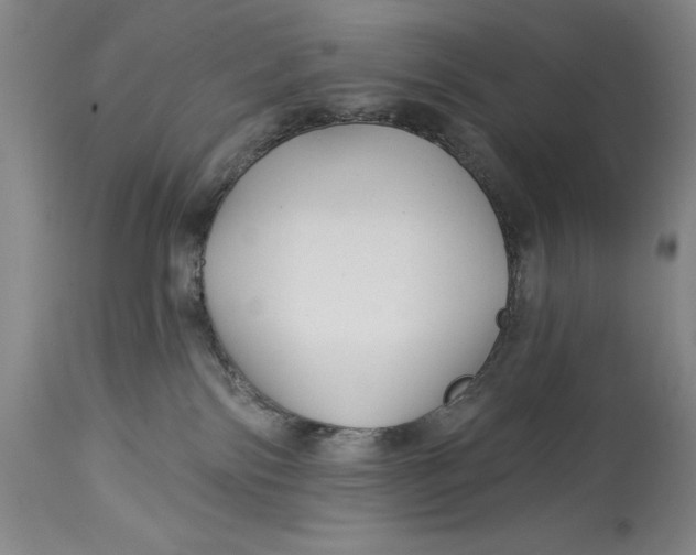 X0000114690138200911121526