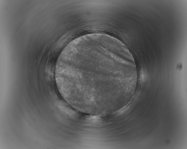 X0000114690140200911121526