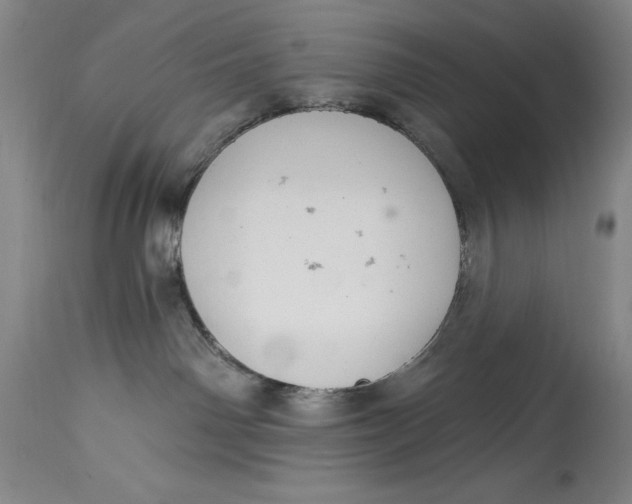 X0000114690142200911121526