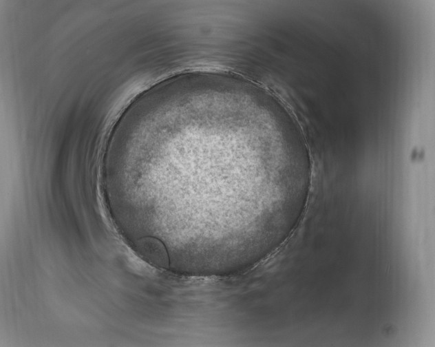 X0000114690145200911121525