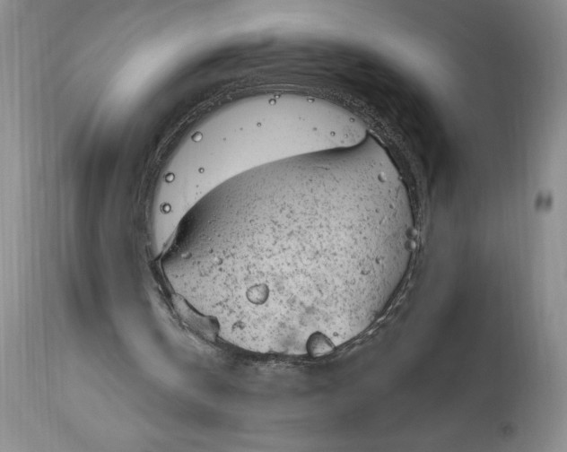 X0000114690146200911121525