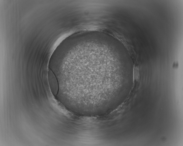 X0000114690147200911121526