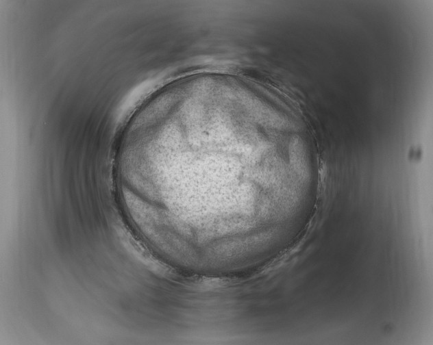 X0000114690149200911121526