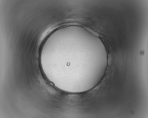 X0000114690150200911121526