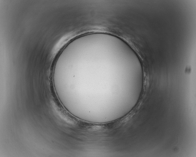 X0000114690151200911121526