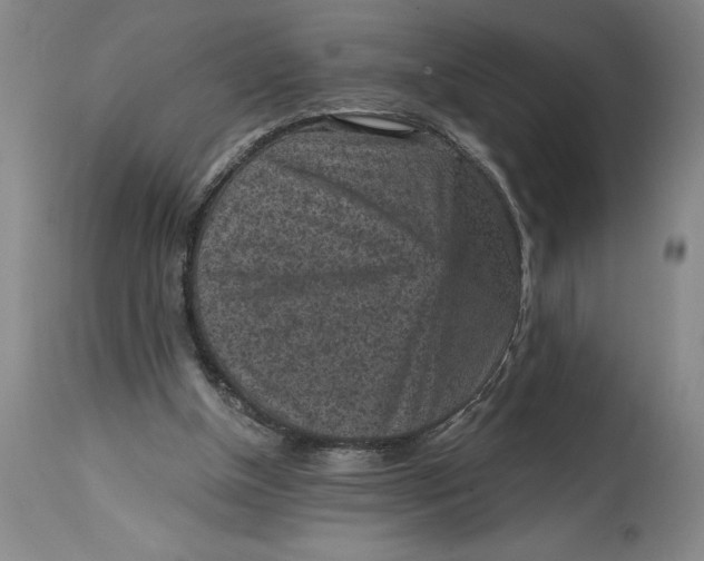 X0000114690154200911121526