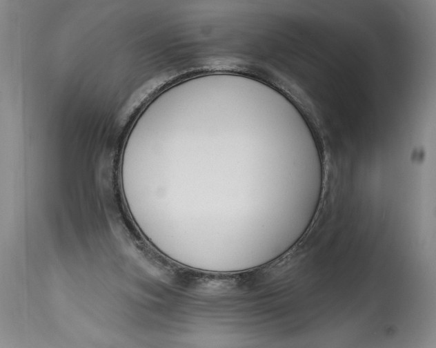 X0000114690155200911121526