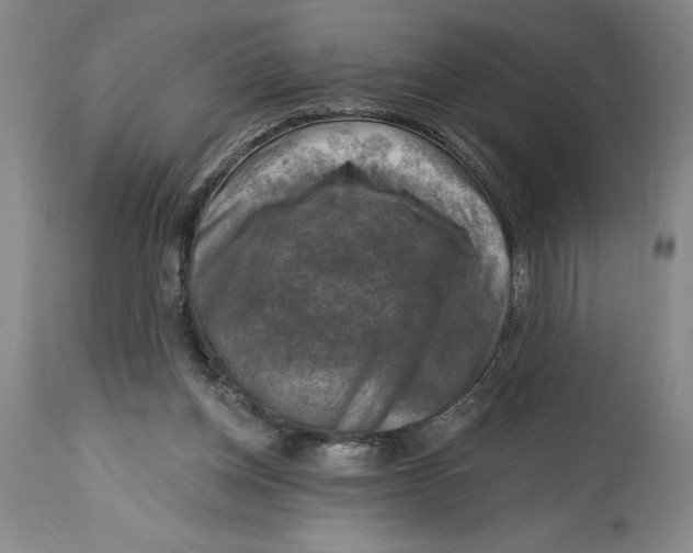 X0000114690158200911121526