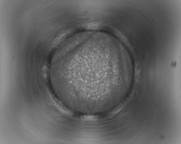 X0000114690161200911121526